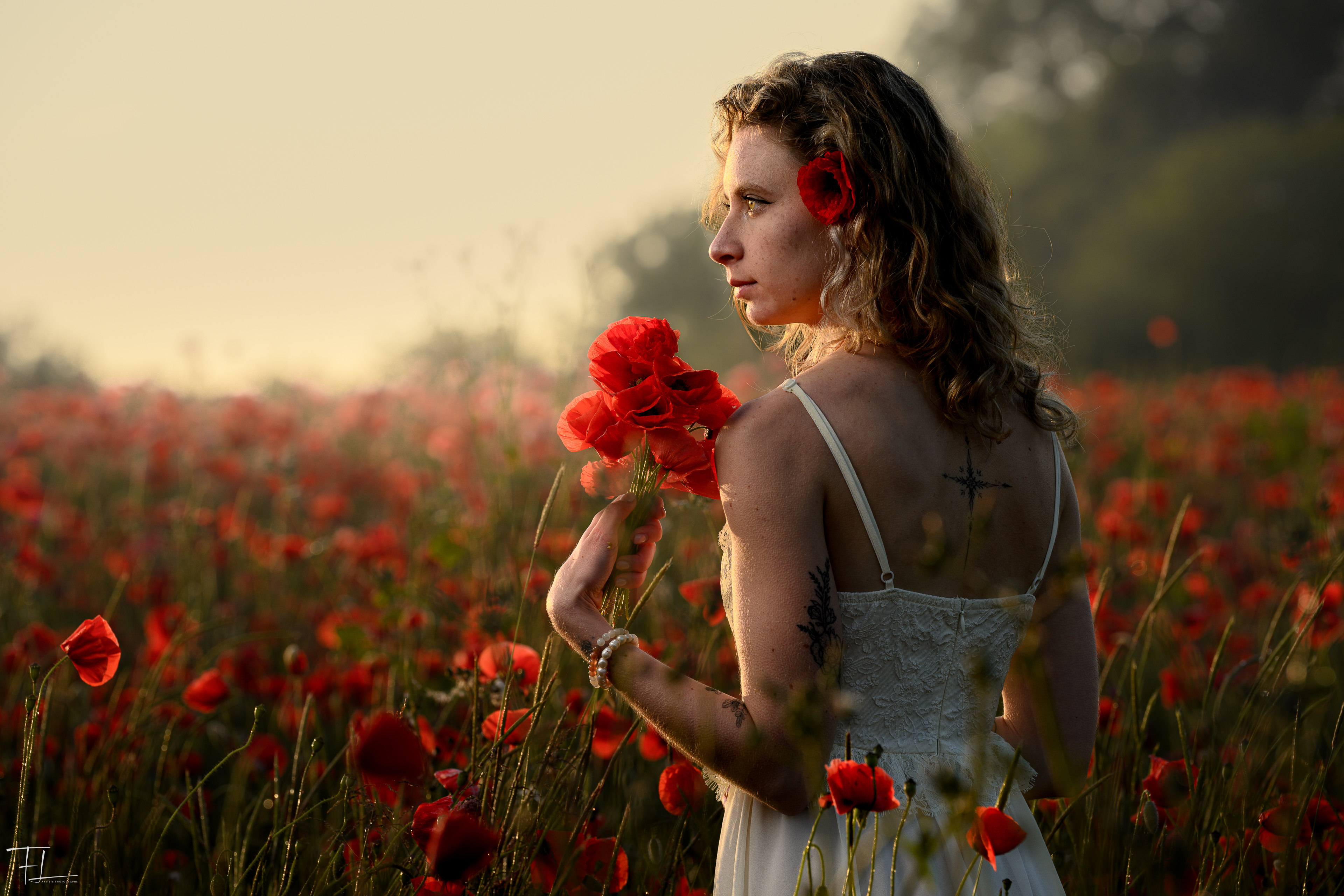 L'heure dorée au cœur des coquelicots